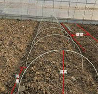 10mm Fiber Reinforced Plastic Rod Flexible Fiberglass Rods For Green House Planting
