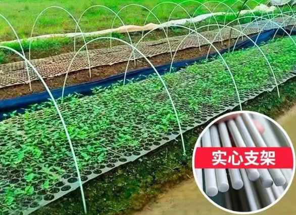 10mm Fiber Reinforced Plastic Rod Flexible Fiberglass Rods For Green House Planting