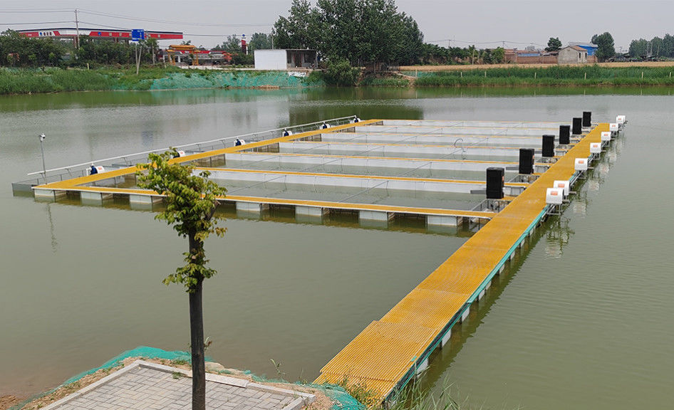 Customized Size FRP Grating To Build The Safety Ladder And Walkway Platform