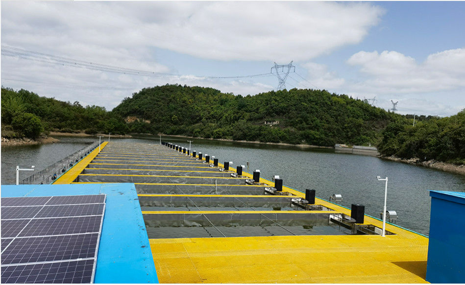 Customized Size FRP Grating To Build The Safety Ladder And Walkway Platform