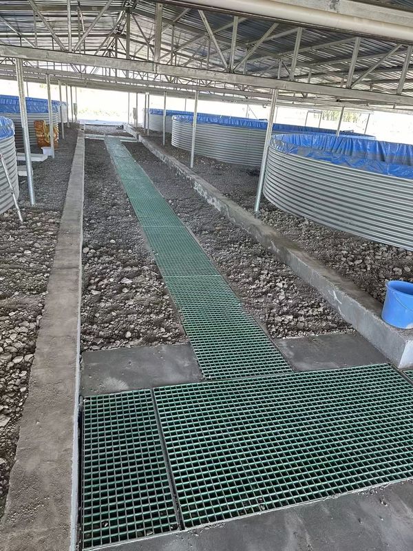 Fish Farm FRP Grating Walkway or Platform Can Be Customized For Size And Color