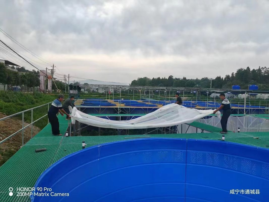 Fish Farm FRP Grating Walkway or Platform Can Be Customized For Size And Color